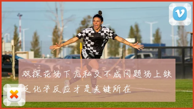 双探花场下无私交不成问题场上缺乏化学反应才是关键所在