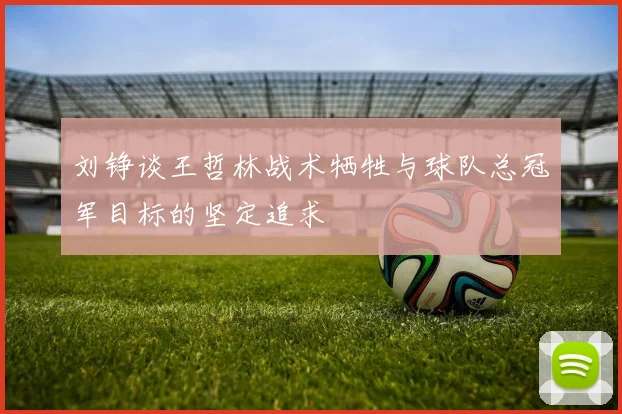 刘铮谈王哲林战术牺牲与球队总冠军目标的坚定追求